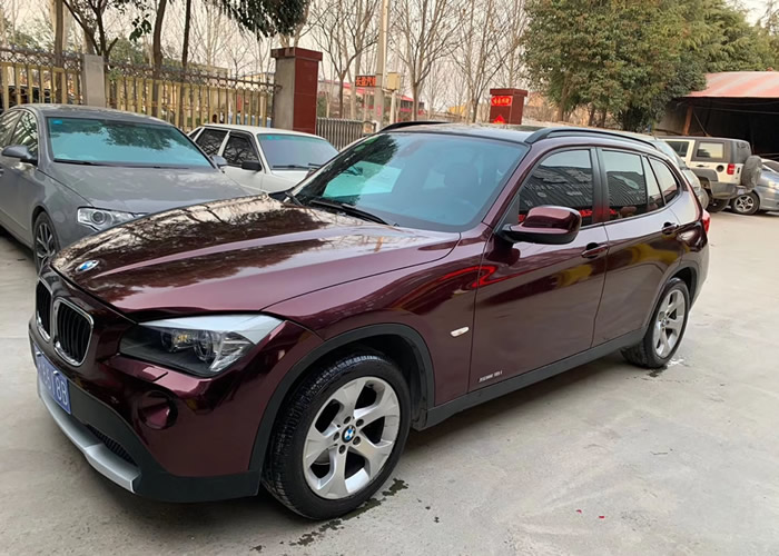 超亮金属黑玫瑰