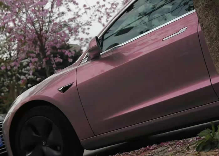 Pro shield梦幻灰魅红