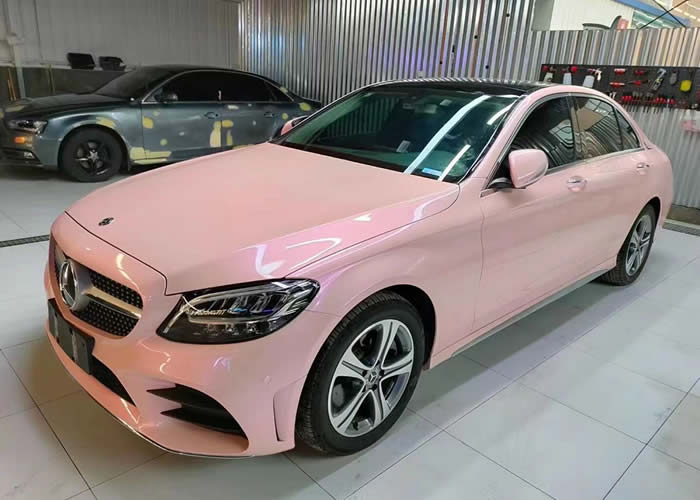 Pro shield梦幻胭脂粉