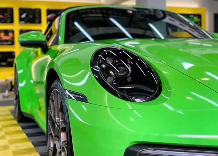 Pro shield水晶蜥蜴绿