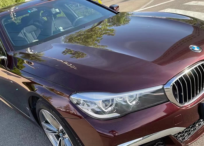 Pro shield超亮金属黑玫瑰